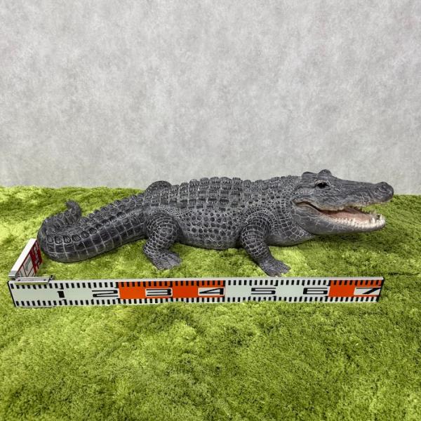 置物 餌を待つワニ 特大 横幅79.5cm 鰐 巨大オブジェ 大型 woobia ウービア 大きい かわいい おしゃれ ガーデン インテリア 可愛い プレゼント 北欧 玄関 雑貨 動物 モダン 面白い 庭 ギフト 屋外 家 リアル 玄関先 ガーデンオーナメント