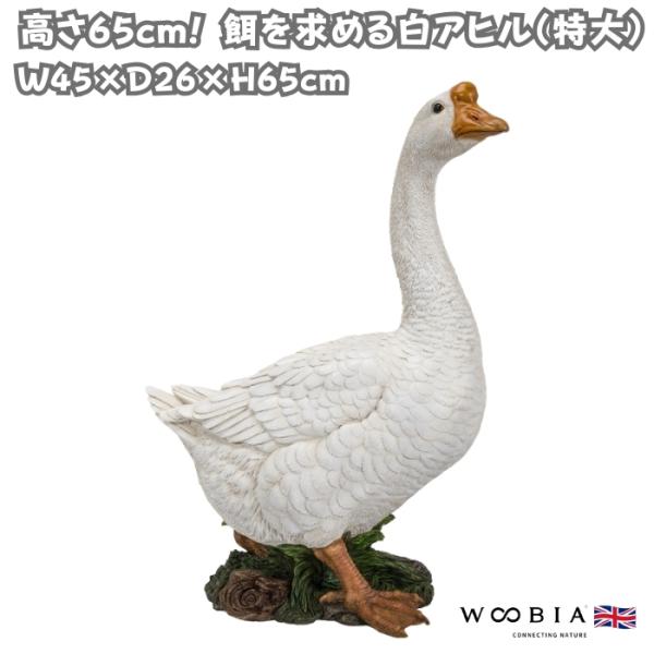 置物 鳥 かわいい 特大オブジェ 高さ65cm 北欧 動物 餌を求める白アヒル 大型 woobia ウービア 大きい おしゃれ ガーデン インテリア  巨大 可愛い プレゼント 玄関 雑貨 モダン 面白い 庭 ギフト 屋外 家 リアル 玄関先 ガーデンオーナメント