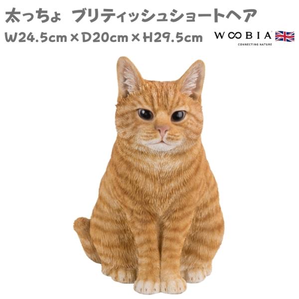 猫 置物 リアルでかわいい おしゃれ 大きい 太っちょブリティッシュショートヘア 茶トラネコ 高さ29.5cm woobia ウービア ガーデン インテリア オブジェ 可愛い プレゼント 北欧 玄関 雑貨 動物 モダン 面白い 庭 ギフト 屋外 家 玄関先 ガーデンオーナメント