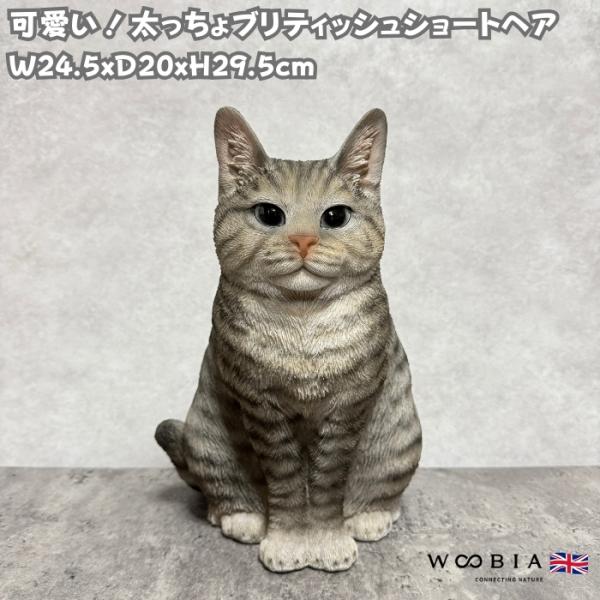 猫 置物 リアルでかわいい おしゃれ 大きい 太っちょブリティッシュショートヘア ニューブラウン ネコ 高さ29.5cm woobia ウービア ガーデン インテリア オブジェ 可愛い プレゼント 北欧 玄関 雑貨 動物 モダン 面白い 庭 ギフト 屋外 家 玄関先 ガーデンオーナメント
