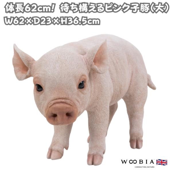置物 待ち構えるピンク子豚 大 ブタグッズ 横幅62cm 巨大オブジェ 大型 woobia ウービア 大きい かわいい おしゃれ ガーデン インテリア 可愛い プレゼント 北欧 玄関 雑貨 動物 モダン 面白い 庭 ギフト 屋外 家 リアル 玄関先 ガーデンオーナメント