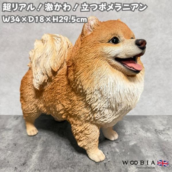 犬 置物 大きい 立つポメラニアン 横幅34cm 巨大オブジェ 大型 woobia ウービア かわいい おしゃれ ガーデン インテリア 可愛い プレゼント 北欧 玄関 雑貨 動物 モダン 面白い 庭 ギフト 屋外 家 リアル 玄関先 ガーデンオーナメント