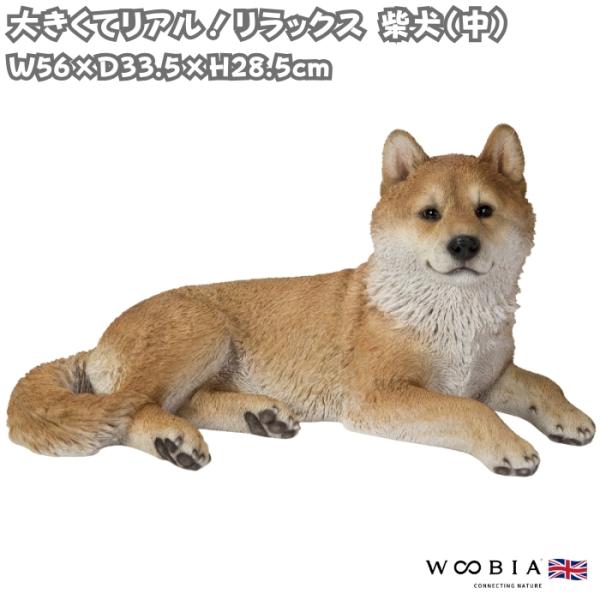 柴犬 置物 大きい おしゃれ リラックス柴犬 中 犬グッズ 横幅56cm woobia ウービア かわいい ガーデン インテリア オブジェ 巨大 可愛い プレゼント 北欧 玄関 雑貨 動物 モダン 面白い 庭 ギフト 屋外 家 リアル 玄関先 ガーデンオーナメント