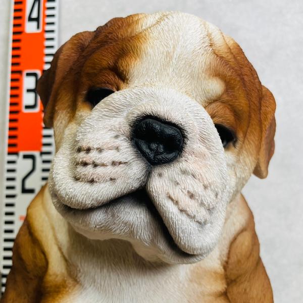犬 置物 大きい かわいい 居眠りするブルドッグ 中 高さ28.5cm woobia ウービア おしゃれ ガーデン インテリア オブジェ プレゼント 北欧 玄関 雑貨 動物 モダン 面白い 庭 ギフト 屋外 家 リアル 玄関先 卓上 ガーデンオーナメント ガーデニング_1
