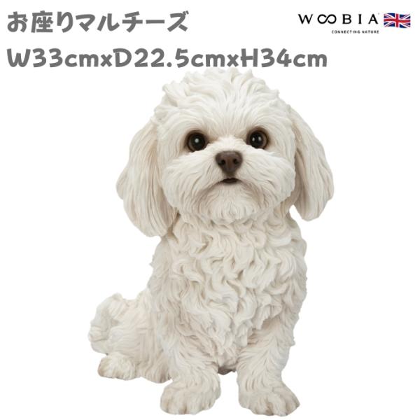 犬 置物 大きい おすわりマルチーズ 高さ34cm woobia ウービア 大型 かわいい おしゃれ ガーデン インテリア オブジェ 巨大 プレゼント 北欧 玄関 雑貨 動物 モダン 面白い 庭 ギフト 屋外 家 リアル 玄関先 ガーデンオーナメント