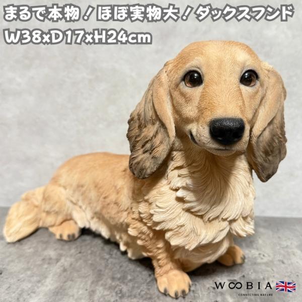 犬 置物 大きい ダックスフンド クリーム 大 横幅38cm woobia ウービア 大型 かわいい おしゃれ ガーデン インテリア オブジェ 巨大 可愛い プレゼント 北欧 玄関 雑貨 動物 モダン 面白い 庭 ギフト 屋外 家 リアル 玄関先 ガーデンオーナメント