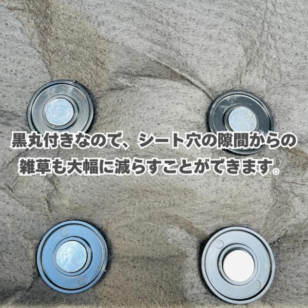 楽りゃく釘 20cm 10P×200袋 2000本 防草シート 人工芝 押さえ釘 黒丸付き 特殊釘 雑草対策 固定ピン アンカーピン_3