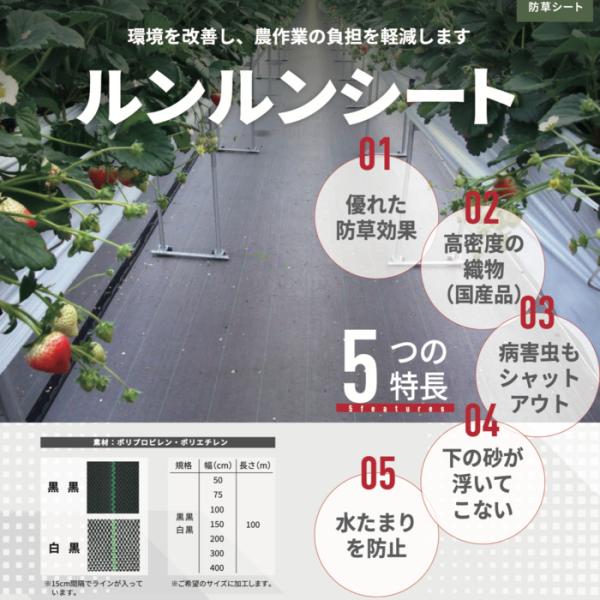 法人様限定 ルンルンシート 黒黒 2.0m×100m 防草シート 農用 草抑え 除草シート 雑草防止 雑草対策 野菜 果物 畑 農業 農園 マルチング_1
