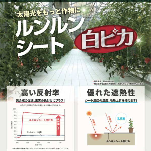 法人様限定 ルンルンシート 白ピカ　3m×100m 防草シート 白色 反射 草抑え 除草 雑草対策 太陽光発電 作物 野菜畑 農業 農園 マルチ_3
