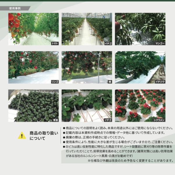 法人様限定 ルンルンシート 白ピカ　3m×100m 防草シート 白色 反射 草抑え 除草 雑草対策 太陽光発電 作物 野菜畑 農業 農園 マルチ_4
