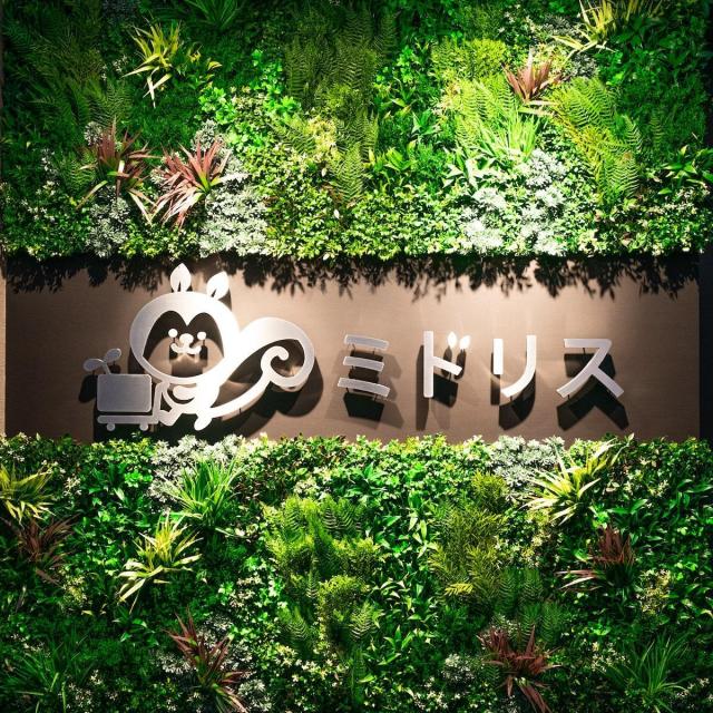 高級人工壁面緑化植物 ビスタフォリア 80cm×80cm パネル1枚入り 固定用部材セット 造花 屋内外 フェイク グリーン ウォール 施設 店舗_3