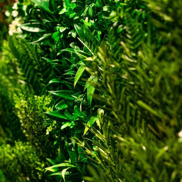 高級人工壁面緑化植物 ビスタフォリア 80cm×80cm パネル1枚入り 固定用部材セット 造花 屋内外 フェイク グリーン ウォール 施設 店舗_5