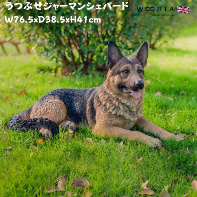 犬 置物 大きい うつぶせジャーマンシェパード 横幅76.5cm woobia ウービア かわいい おしゃれ ガーデン インテリア オブジェ 巨大 可愛い プレゼント 北欧 玄関 雑貨 動物 モダン 面白い 庭 ギフト 屋外 家 リアル 玄関先 ガーデンオーナメント
