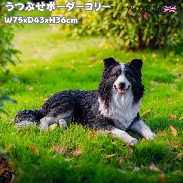 犬 置物 大きい うつぶせボーダーコリー 横幅75cm woobia ウービア かわいい おしゃれ ガーデン インテリア オブジェ 巨大 可愛い プレゼント 北欧 玄関 雑貨 動物 モダン 面白い 庭 ギフト 屋外 家 リアル 玄関先 ガーデンオーナメント