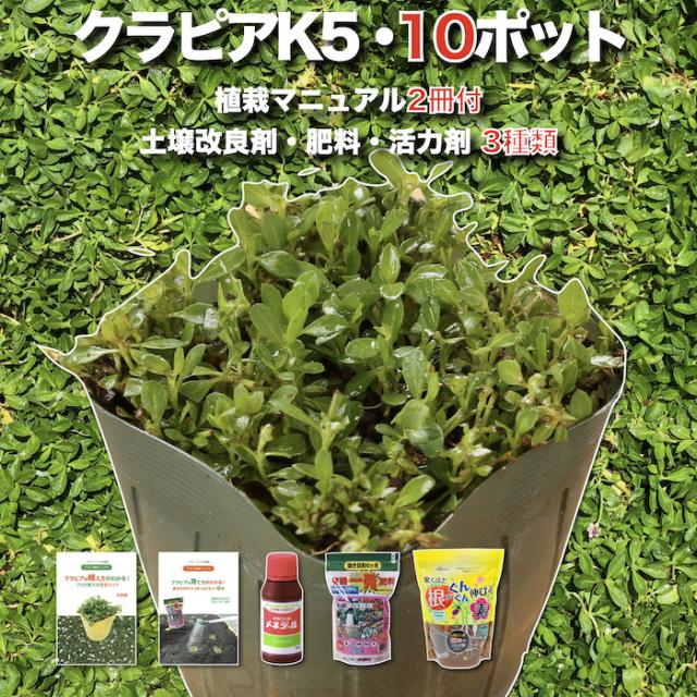 【レビュー特典】 クラピア K5 薄桃品種 10株 土壌改良セット 植栽マニュアル付き 苗10ポット 肥料活力剤土壌改良剤3種 イワダレソウ改良種 グランドカバー 植物 プランツ 薄ピンクの花 庭 屋上緑化 K7と同程度の耐寒性 多年草 地被植物 ほふく性 下草 背が低い 宿根草