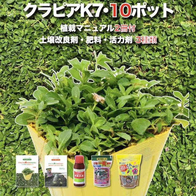 【レビュー特典】 クラピア K7（白） 10株 すくすく土壌改良セット 完全植栽マニュアル付き 苗10ポット 肥料 活力剤土壌改良剤 3種付き イワダレソウ改良種 グランドカバー 植物 宿根草 白の花 背が低い 多年草 地被植物 ほふく性 下草 プランツ 雑草対策 ガーデニング