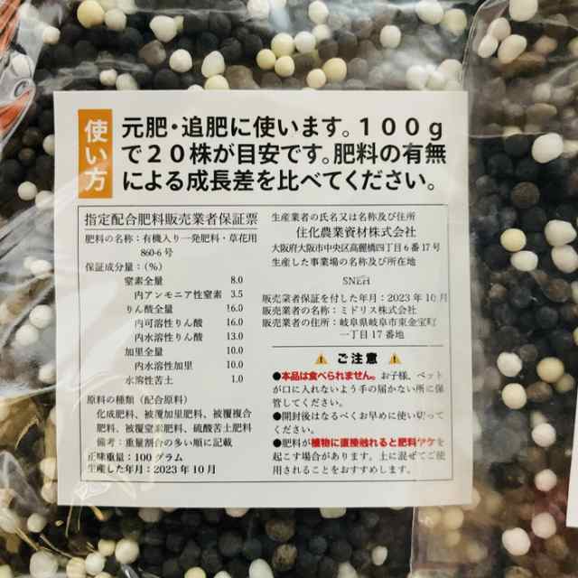 予約特典付 3月1日以降納品 クラピアK7 9cmポット苗 400鉢セット 白色