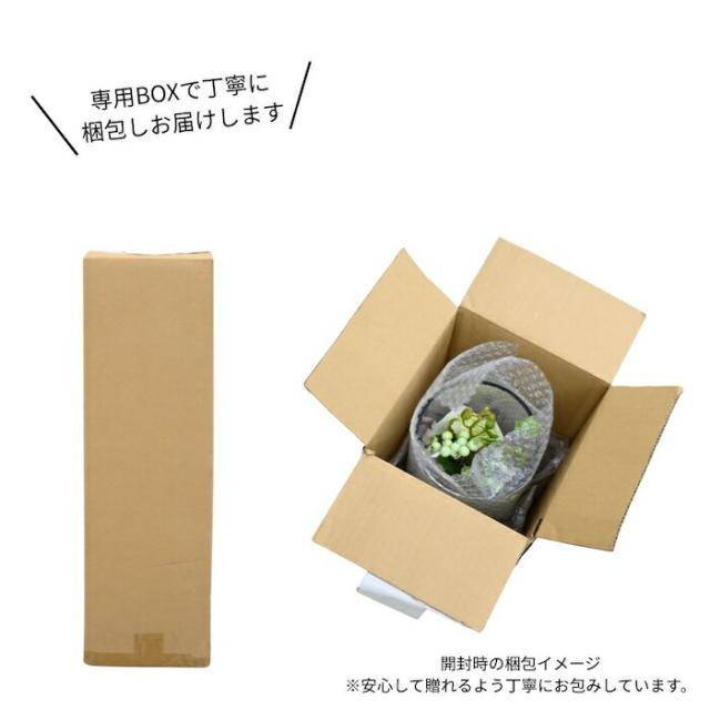 胡蝶蘭 造花 シリンダーブラン L 枯れない アーティフィシャルフラワー 高級 フラワーアレンジメント ギフト 開店祝い 就任祝い 周年記念 お祝い 受付 ロビー お供え 花 Phalaeno＋_4