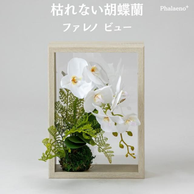 胡蝶蘭 造花 ファレノ ビュー 枯れない アーティフィシャルフラワー 高級 フラワーアレンジメント ギフト 開店祝い 就任祝い 周年記念 お祝い 受付 ロビー お供え 花 Phalaeno＋