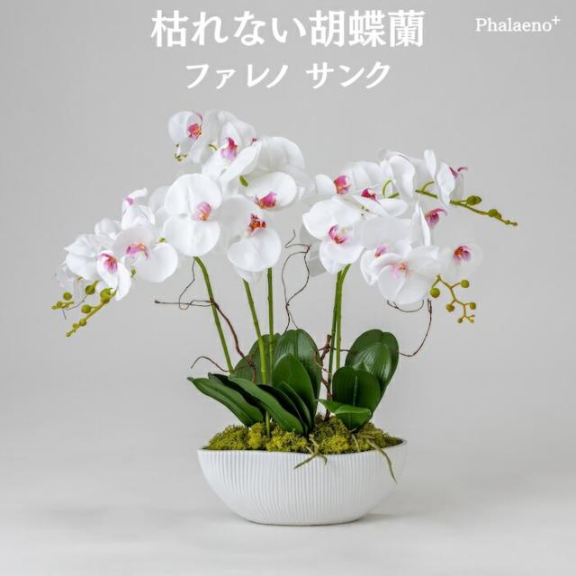 胡蝶蘭 造花 ファレノ サンク 枯れない アーティフィシャルフラワー 高級 フラワーアレンジメント ギフト 開店祝い 就任祝い 周年記念 お祝い 受付 ロビー お供え 花 Phalaeno＋