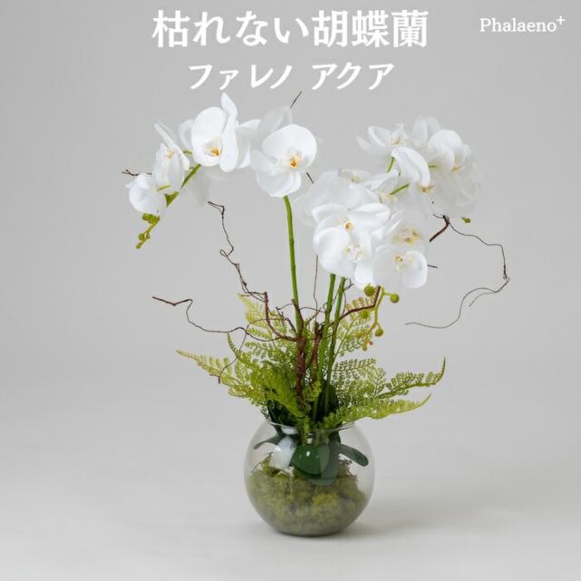 胡蝶蘭 造花 ファレノ アクア 枯れない アーティフィシャルフラワー 高級 フラワーアレンジメント ギフト 開店祝い 就任祝い 周年記念 お祝い 受付 ロビー お供え 花 Phalaeno＋