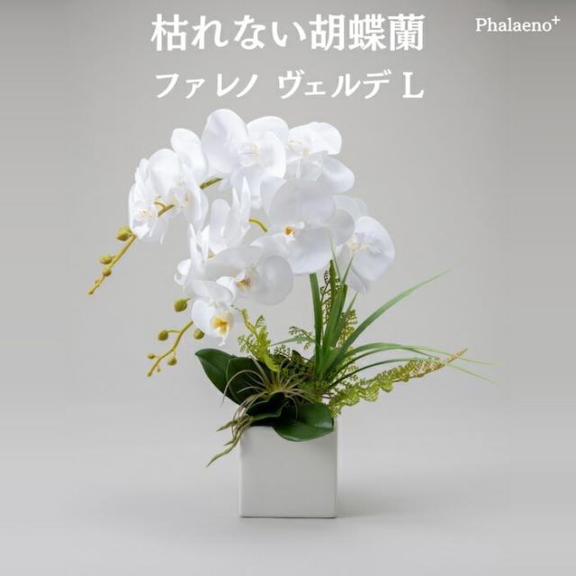 胡蝶蘭 造花 ファレノ ヴェルデ L 枯れない アーティフィシャルフラワー 高級 フラワーアレンジメント ギフト 開店祝い 就任祝い 周年記念 お祝い 受付 ロビー お供え 花 Phalaeno＋