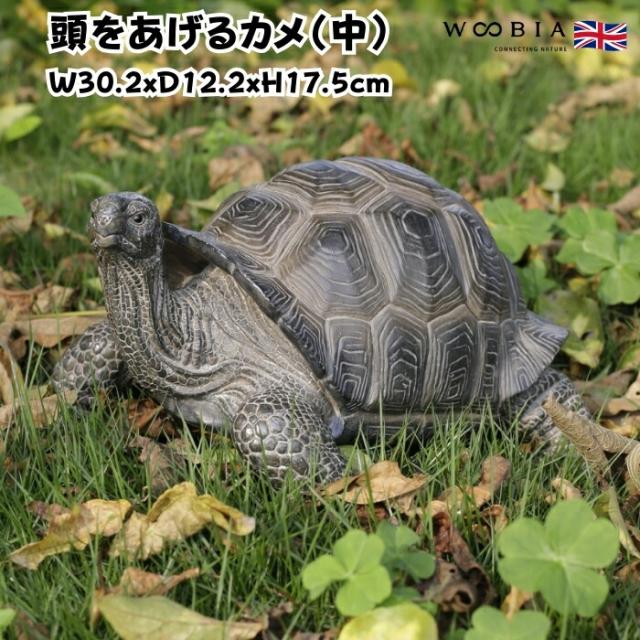 置物 頭をあげるカメ 中 亀グッズ 横幅30.2cm woobia ウービア 大きい かわいい おしゃれ ガーデン インテリア オブジェ 可愛い プレゼント 北欧 玄関 雑貨 動物 モダン 面白い 庭 ギフト 屋外 家 リアル 玄関先 ガーデンオーナメント