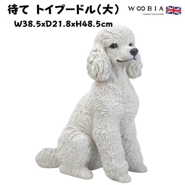 犬 置物 大きい 待てトイプードル 大 グッズ 高さ48.5cm woobia ウービア おしゃれ かわいい ガーデン インテリア オブジェ 巨大 可愛い プレゼント 北欧 玄関 雑貨 動物 モダン 面白い 庭 ギフト 屋外 家 リアル 玄関先 ガーデンオーナメント