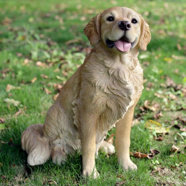置物 お座りゴールデン・レトリバー 犬 イヌ 特大 高さ53.5cm 置物 お座りゴールデン・レトリバー 犬 イヌ 特大 高さ53.5cm