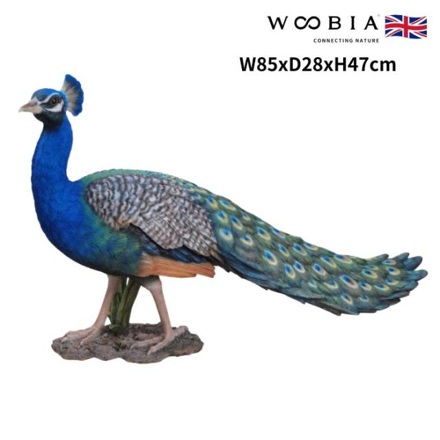 置物 鳥 クジャク 特大 横幅85cm woobia ウービア 大きい かわいい おしゃれ ガーデン インテリア オブジェ 巨大 可愛い プレゼント 北欧 玄関 雑貨 動物 モダン 面白い 庭 ギフト 屋外 家 リアル 玄関先 ガーデンオーナメント