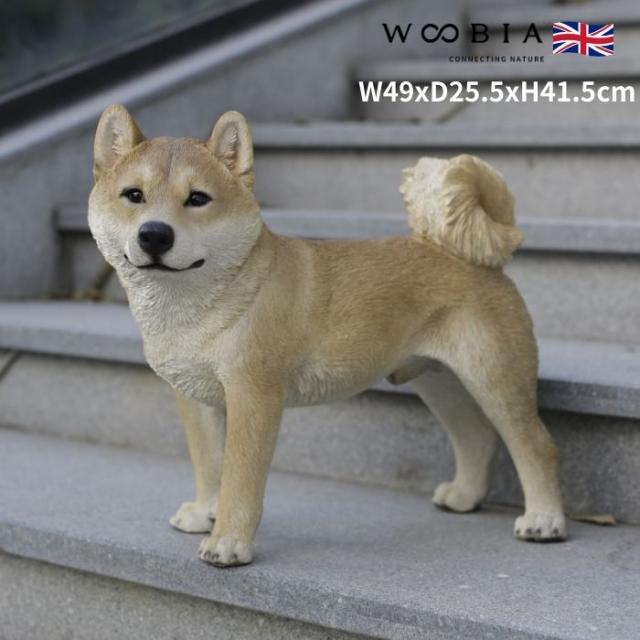 柴犬 置物 大きい 左向きに立つ柴犬 グッズ 大 横幅49cm woobia ウービア かわいい おしゃれ ガーデン インテリア オブジェ 巨大 可愛い プレゼント 北欧 玄関 雑貨 動物 モダン 面白い 庭 ギフト 屋外 家 リアル 玄関先 ガーデンオーナメント