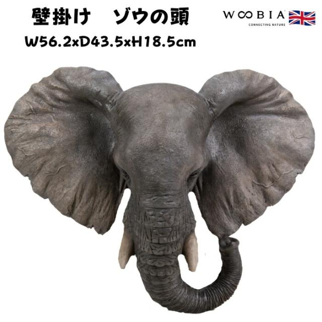 アニマルヘッド壁掛け ゾウ 横幅56.2cm 特大サイズ 象グッズ 縁起物 風水 woobia ウービア かわいい おしゃれ ガーデン インテリア オブジェ 可愛い プレゼント 北欧 玄関 雑貨 動物 モダン 面白い ギフト 家 リアル 玄関先