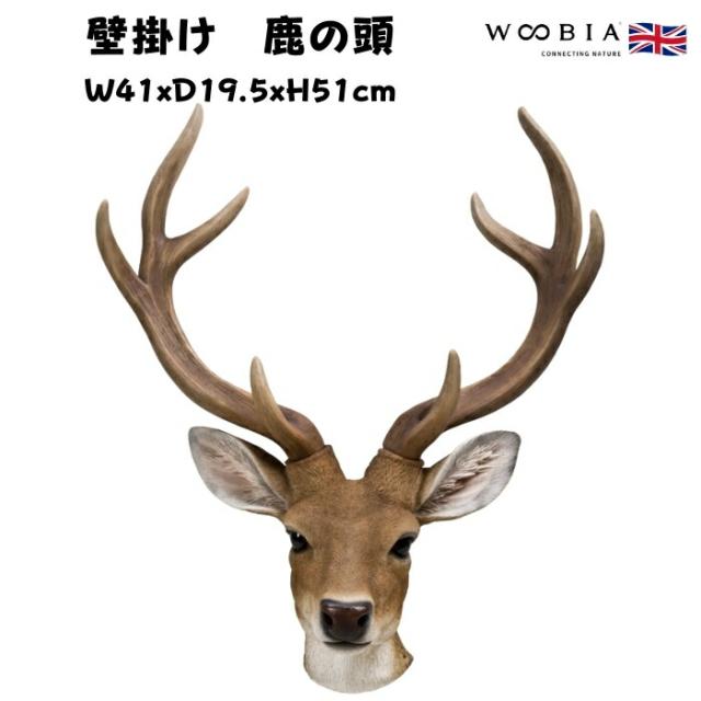 掛け軸/鹿3頭 | 掛軸 掛け軸/鹿3頭