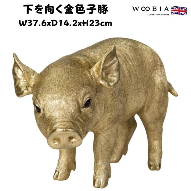 置物 下を向く金色子豚 ゴールド 金色 縁起物 横幅37.6cm woobia ウービア 大きい かわいい おしゃれ ガーデン インテリア オブジェ 可愛い プレゼント 北欧 玄関 雑貨 動物 モダン 面白い 庭 ギフト 屋外 家 リアル 玄関先 ガーデンオーナメント