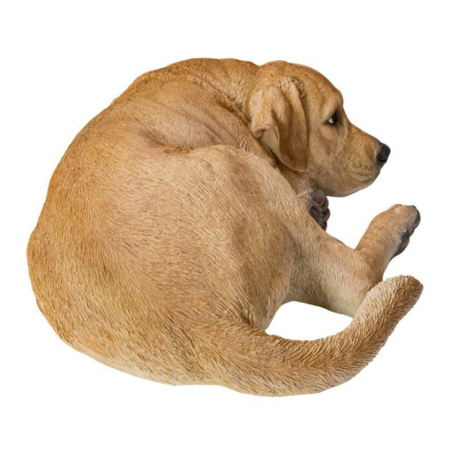 犬 置物 大きい うつぶせラブラドール・レトリバー 横幅72cm woobia ウービア かわいい おしゃれ ガーデン インテリア オブジェ 巨大 可愛い プレゼント 北欧 玄関 雑貨 動物 モダン 面白い 庭 ギフト 屋外 家 リアル 玄関先 ガーデンオーナメント_6