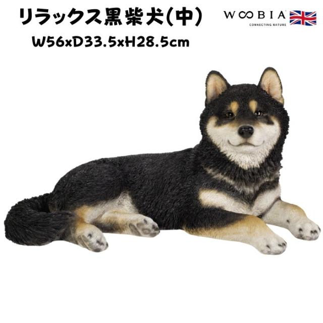 柴犬 置物 大きい リラックス黒柴犬 中 犬グッズ 横幅56cm woobia ウービア かわいい おしゃれ ガーデン インテリア オブジェ 巨大 プレゼント 北欧 玄関 雑貨 動物 モダン 面白い 庭 ギフト 屋外 家 リアル 玄関先 ガーデンオーナメント