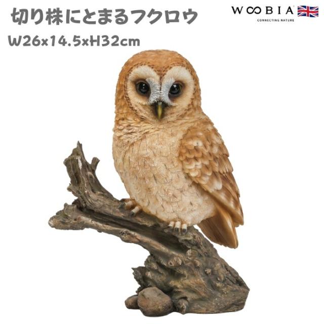 置物 鳥 かわいい オブジェ 北欧 動物 切り株にとまるフクロウ 高さ32cm woobia ウービア 大きい おしゃれ ガーデン インテリア 可愛い プレゼント 玄関 雑貨 モダン 面白い 庭 ギフト 屋外 家 リアル 玄関先 ガーデンオーナメント