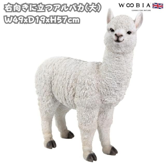 スワロフスキー Swarovski 『Ambiray フォトフレーム (S)』 1101799
