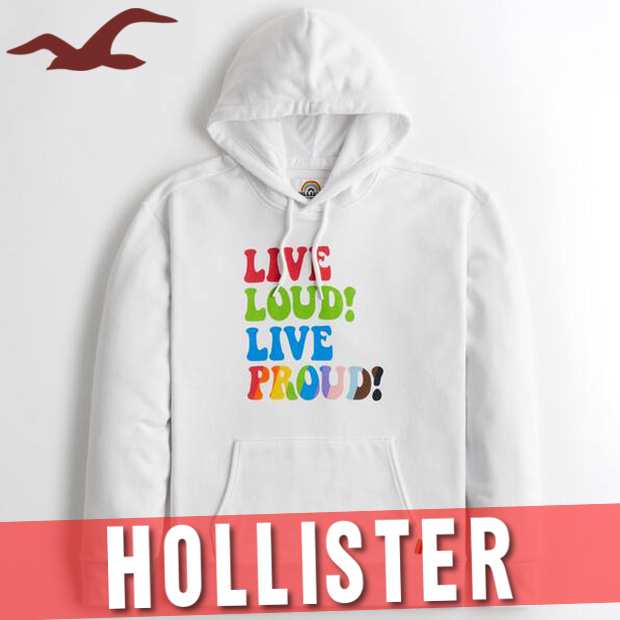 HOLLISTER     パーカー　スウェット メンズ　レディース　[ S ]