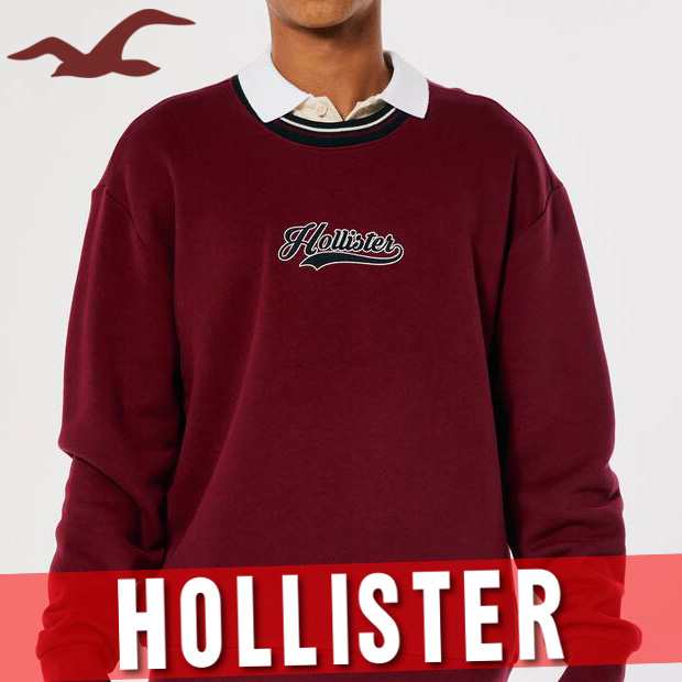 IP65防水 HOLLISTER (ホリスター) ロゴ スウェット - 通販