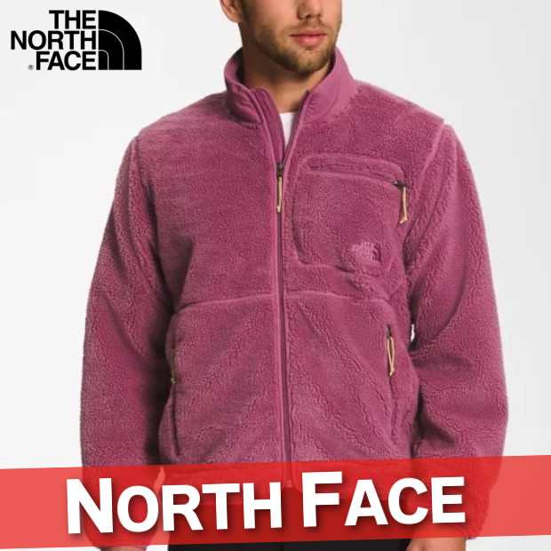 海外限定モデル THE NORTH FACE エクストリーム パイル フリース 新品