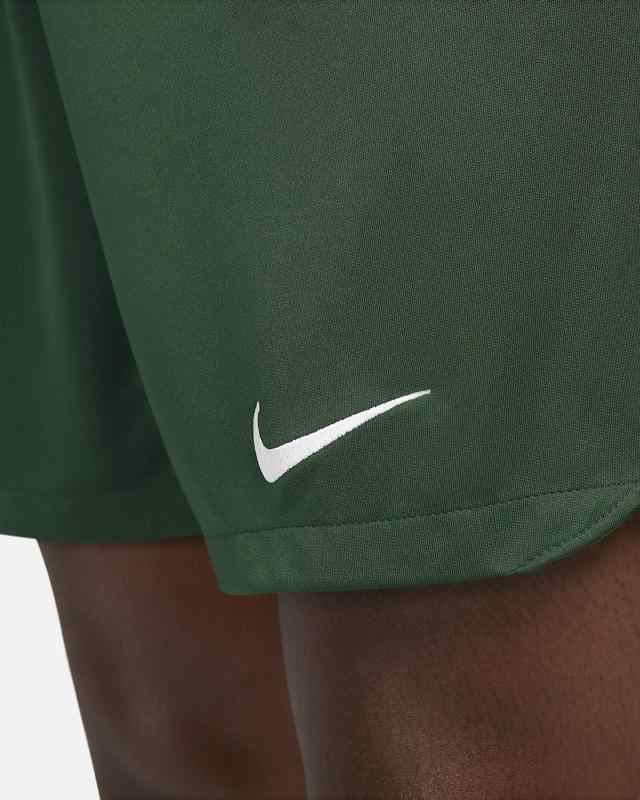 NIKE ナイキ ショート ハーフパンツ 短パン メンズ ナイジェリア 2022