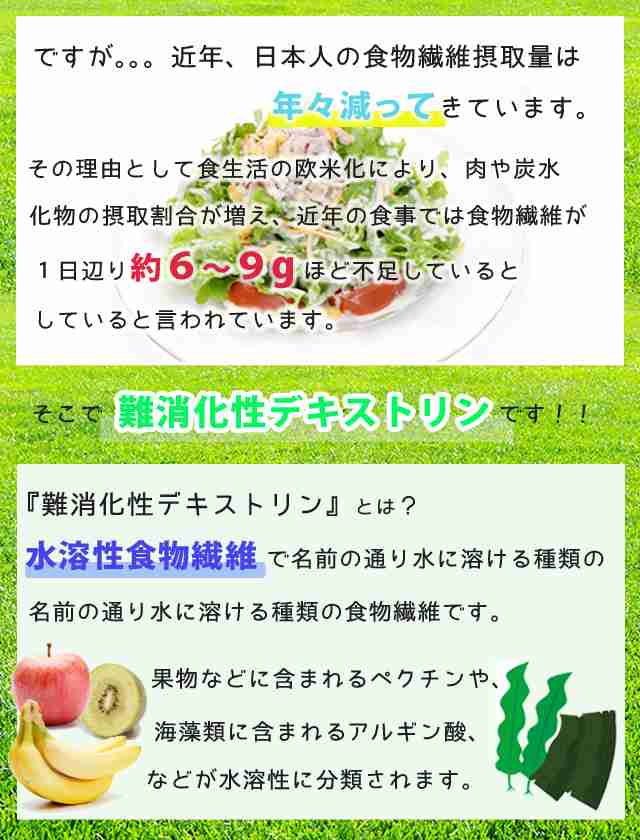 難消化性デキストリン 水溶性食物繊維５００ｇ 小麦由来（微顆粒品）ダイエタリーファイバー（ポスト投函-c）の通販はau PAY マーケット -  ＥＹＥＵＰ