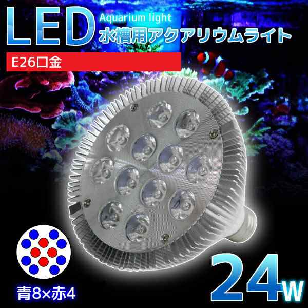 E26口金 24w 珊瑚 植物育成 水草用 水槽用 Ledアクアリウムスポットライト 青8灯 赤4灯 Ql 02 の通販はau Pay マーケット World Net