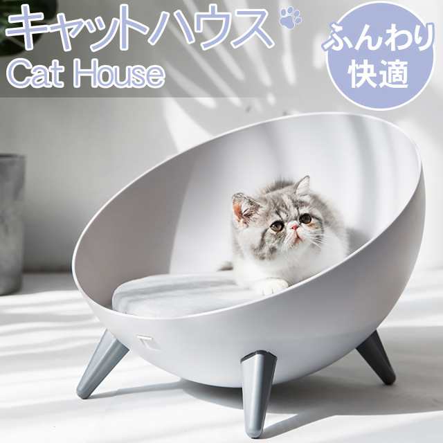 猫用品 - 猫用品