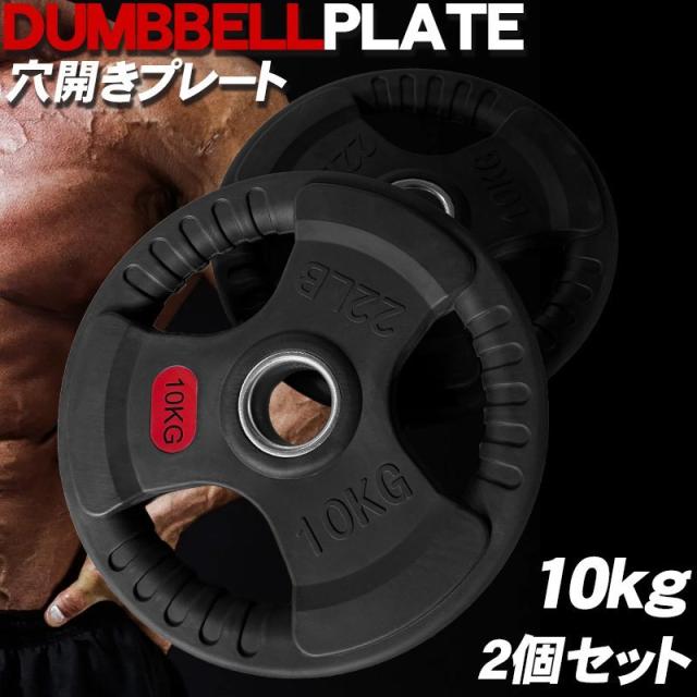 オリンピックプレートLifefitness 10kg x 2枚/穴径50mm オリンピック
