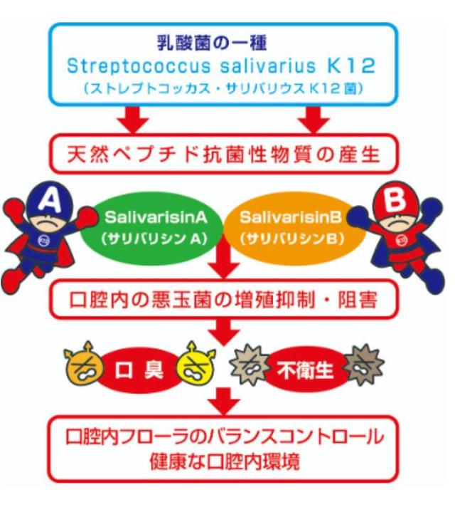 フェアユング プロバイオティクス K12 30粒×3個【公式通販】