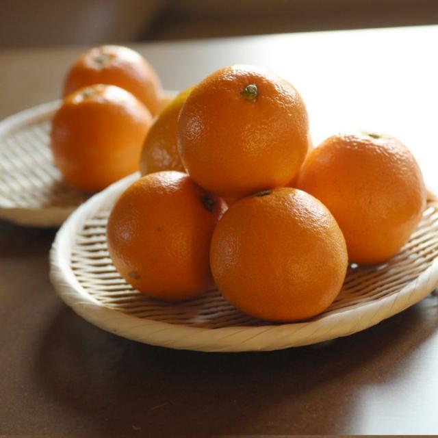 予約販売 盆ザル ７寸 天然竹 竹ザル 竹ざる 竹製 盆ざる 盆ザル 水切り エコ 天然素材 多用キッチン用品 台所用品 調理道具 インテの通販はau Pay マーケット Utatane