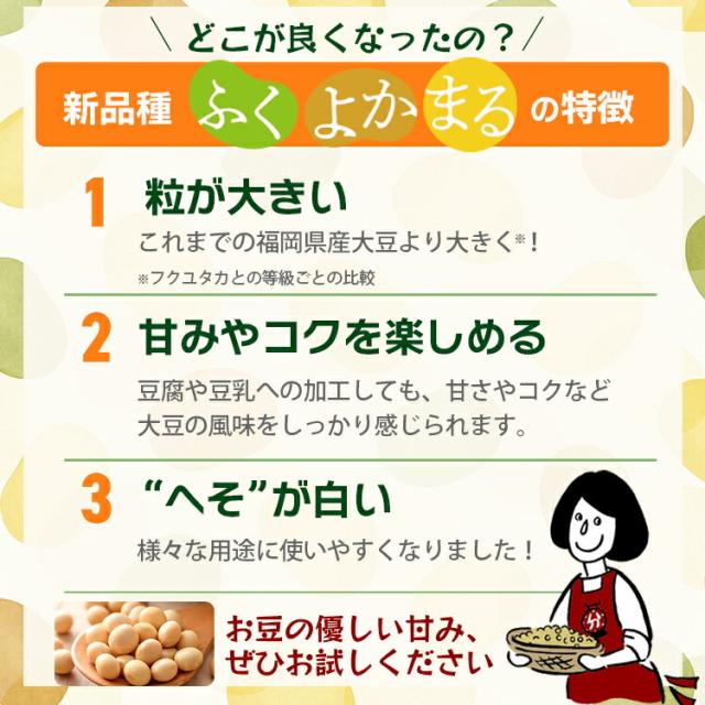 福岡県産大豆《ふくよかまる･特定加工用大豆合格･中粒》30kg／送料無料 チャック付 大豆 フクヨカマル ソイリッチ 豆乳 乾燥豆 豆腐 味噌 こわけや_2