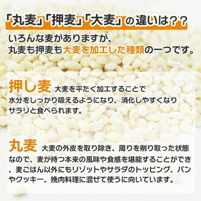 特選押麦　5kg×5〔チャック付〕／国産 宅配便 送料無料 チャック付 国産 特選 大麦 食物繊維 βグルカン こわけや_2